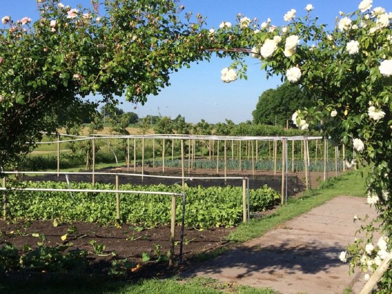 Buitenplaats moestuin